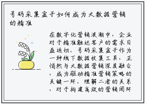 号码采集盒子如何成为大数据营销的精准引擎?